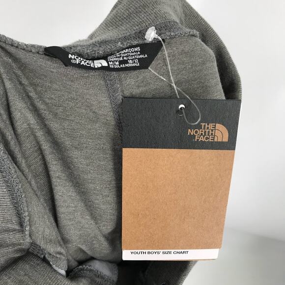 The North Face Boys Tri-Blend Grey Heather Shorts L Elastic Drawstring Waist NWT - Picture 5 of 9